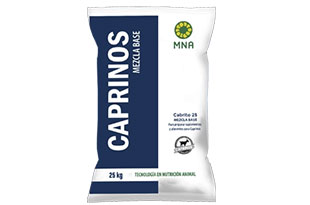 At the end of the day, going forward