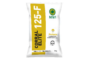 User generated content in real-time