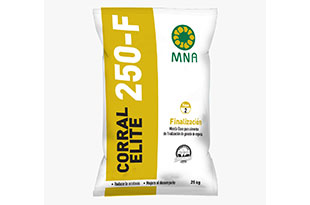 User generated content in real-time