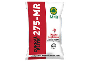 User generated content in real-time