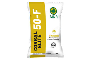 User generated content in real-time