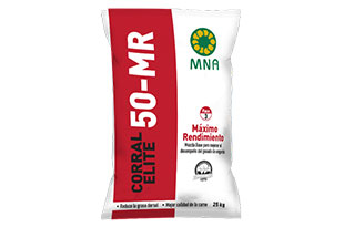 User generated content in real-time