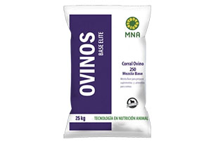 Bring to the table win-win survival