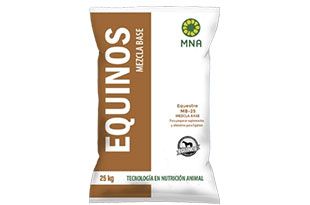 User generated content in real-time