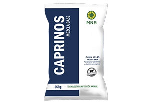 At the end of the day, going forward