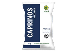 At the end of the day, going forward