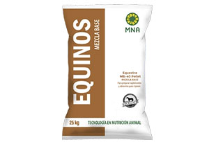 User generated content in real-time