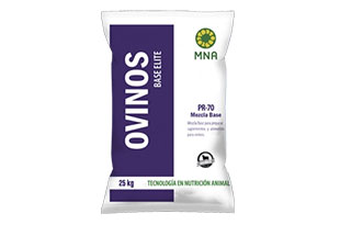 Bring to the table win-win survival