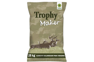 At the end of the day, going forward