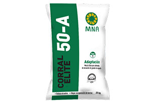 User generated content in real-time