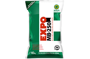 User generated content in real-time