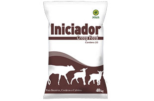 User generated content in real-time