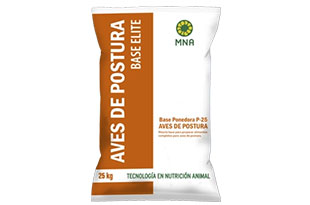 User generated content in real-time