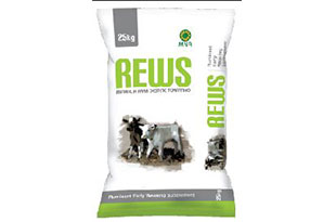 User generated content in real-time