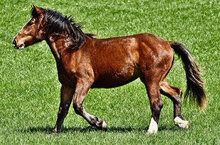 At the end of the day, going forward